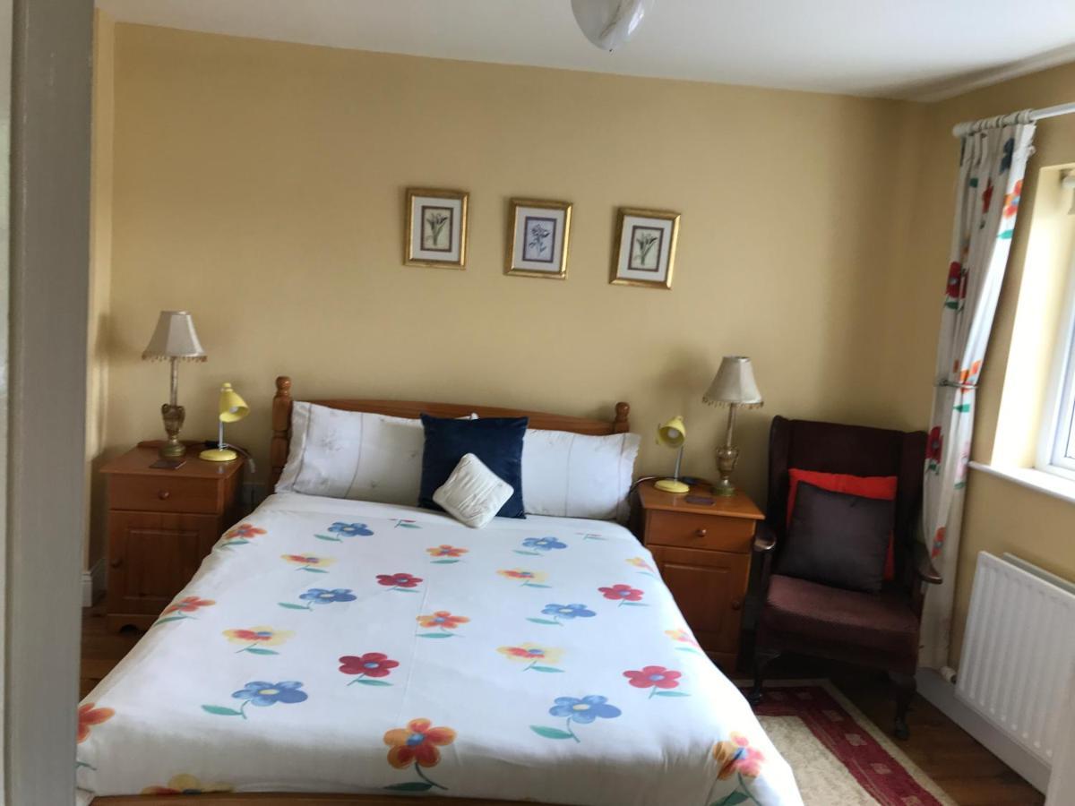Teac Seain Bar & Bnb Annascaul Ngoại thất bức ảnh